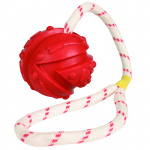 Foto-Galerie - Spielzeug für Hunde